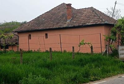 Casă cu 3 camere cu Teren 2500 Mp în Tău - 10