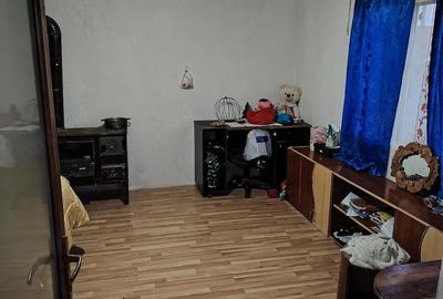 Casă cu Teren 3000 Mp în Mircea Vodă - 3