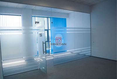 Spațiu comercial, de 250 mp, în Theodor Pallady