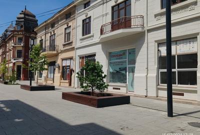 Exclusivitate: Vila Istorica de Vanzare in Constanta. - 3