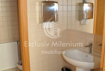 Spatiu Birouri Stirbei Voda - Berzei - 6