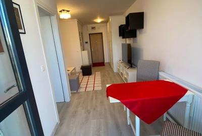 Garsonieră decomandată, mobilată în Theodor Pallady