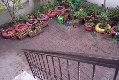 Apartament 2 camere curte interioară Bucurestii Noi - 9