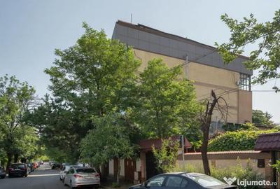 Spațiu comercial, de 923 mp, în Drumul Sării - 3