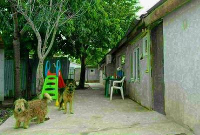 Casă cu Teren 276 Mp în Pantelimon - 7