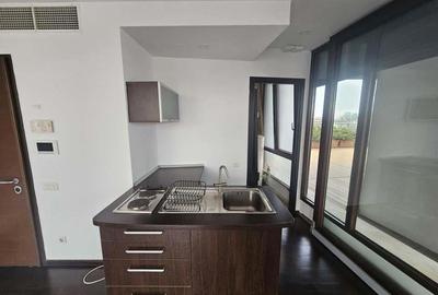 Aviatorilor- Guvern - 9