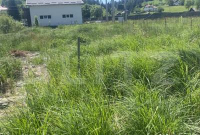 Teren de 1000 mp, în Central - 4