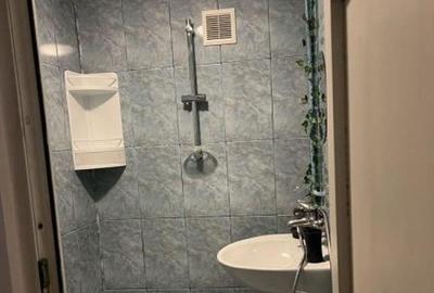 Berceni brancoveanu confort 3 cocheta - 3