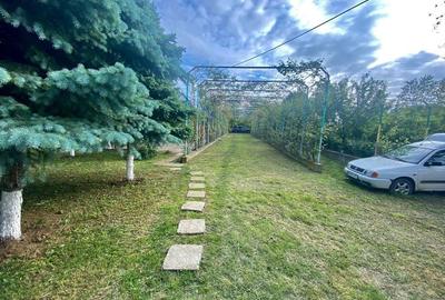 Spațiu comercial, în Hudum - 8