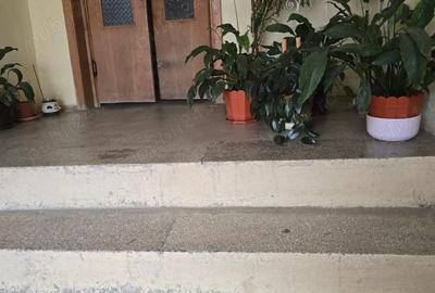 Apartament 2 camere Matei Basarab Bucovina etaj 2 decomandat vedere spre parc - 1