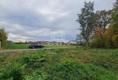 Teren de vanzare - Satu Nou de Jos-vedere panoramica
