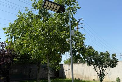 Mihailesti l Casa de vanzare P+M 2011  l 190 Mp Utili l 1000 Mp Teren l - 22