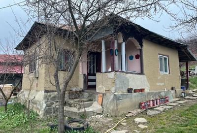 Casă cu 3 camere în Bălțești