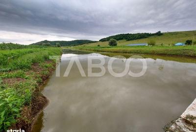 Casă cu 4 camere cu Teren 77 Mp în Roșia - 13