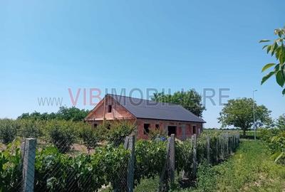 Teren intravilan de 16000 mp, în Belinț - 5