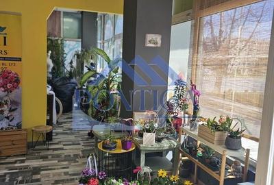 Spațiu comercial, de 60 mp, în Dacia - 6