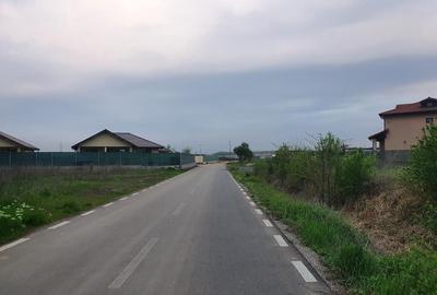 Lot teren Balotesti,langa case noi-50 m de asfalt 600mp - 15