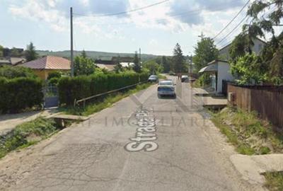 Teren 750mp Bucium - zona Fundacul Paun - 2