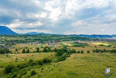 Teren Intravilan – Construcții - 6
