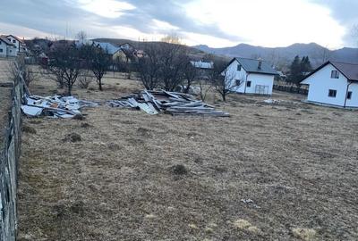 Spațiu comercial, în Jitia - 3