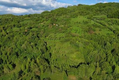 Teren în Buceș - 2