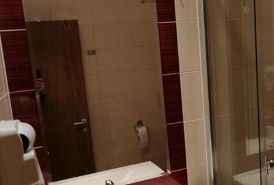 Apartament cu 3 camere decomandat în Nord - 9