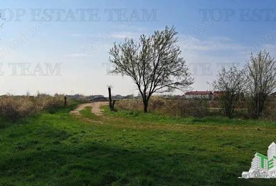 Teren de 1171 mp, în Palanca - 8