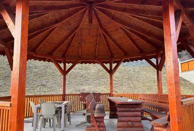 Casa pensiune 5 dormitoare 5 bai Sadova - 3