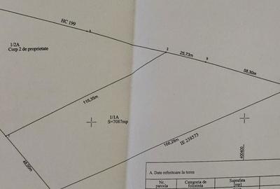 Spațiu comercial, în Calea Severinului - 1