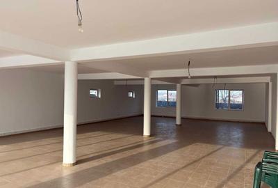 Spațiu comercial, de 1,000 mp, în Balta Doamnei - 4