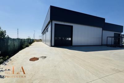 Spațiu industrial, de 425 mp, în Domnești - 2