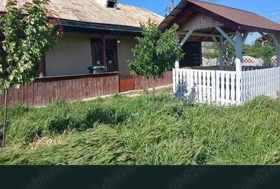 Casă cu Teren 2000 Mp în Stoenești - 5