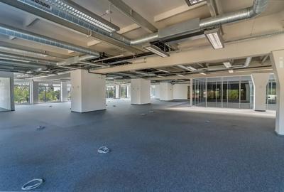 Liberty Technology Park- spatiu de birouri de inchiriat - 4