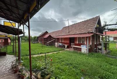 Casă cu 4 camere în Rușii-Munți - 7