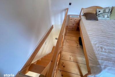 Casă cu 2 camere în Săldăbagiu de Munte - 7