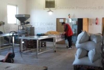 Spațiu comercial, de 750 mp, în Manoleasa - 4