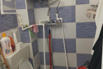 Casă cu 2 camere cu Teren 17 Mp în Slătinioara - 2