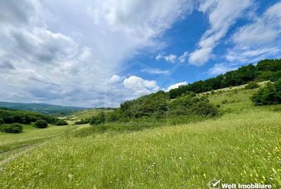 Oportunitate investitie, teren cu panorama pentru cabane - 2