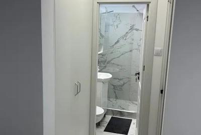 Apartament cu 2 camere decomandat, mobilat în Victoriei - 7