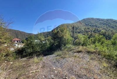 Teren intravilan Buru | ideal agrement, activita?i outdoor - 12