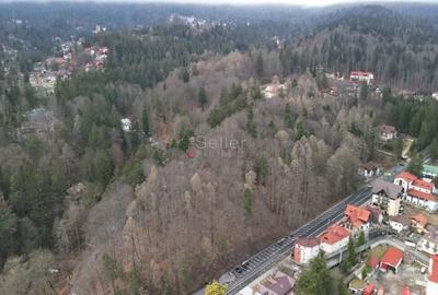 Teren Construcții intravilan de 1700 mp, în Castelul Peleș - 21