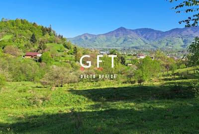 Teren extravilan de vanzare, Bistrita Bargaului- 10 minute de Colibita - 1