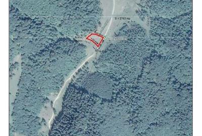 Teren 2.763 mp Poiana Brașov – lângă Stâna Turistică Sergiana - 5