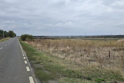 Teren Branesti deschidere la drum asfaltat ideal mica dezvoltare imobiliara. - 4