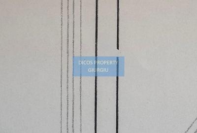 Teren de 5000 mp, în Vedea - 2