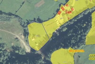 Casă cu Teren 4880 Mp în Argel - 6