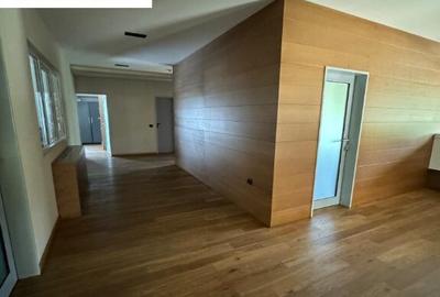 Ansamblu de hale, zona ie?ire spre Izvoare. Pre? 5 Eur/mp - 14