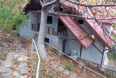 Vila la gri Cerasu Prahova - 5