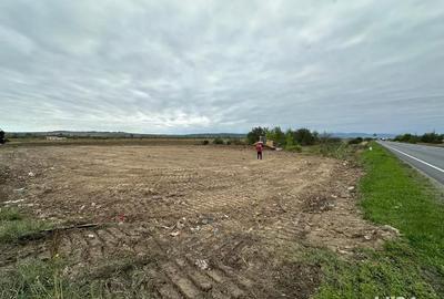 Teren de 5000 mp, în Lugoj - 3