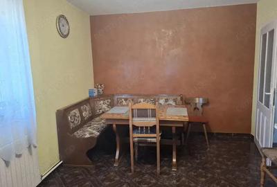 Casă cu 4 camere cu Teren 5456 Mp în Nădlac - 14